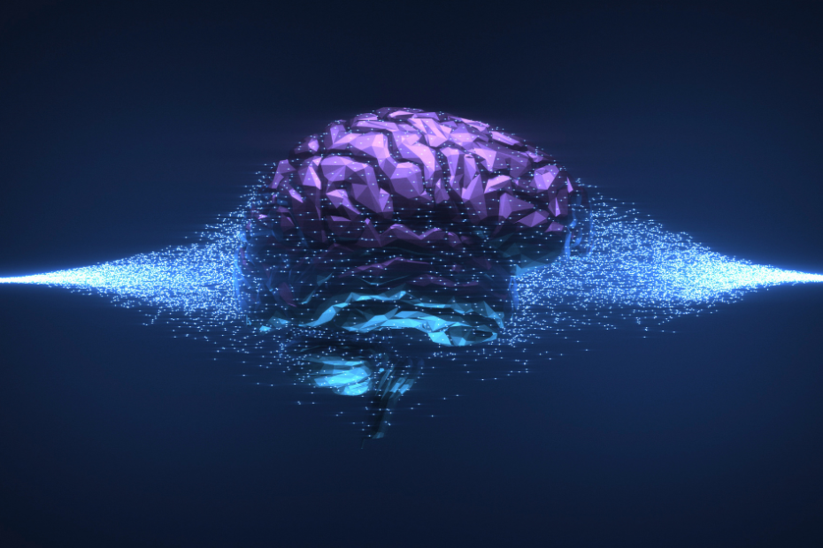 La nascita dell'Intelligenza Organica: organoidi cerebrali per una nuova frontiera della medicina e dell'informatica